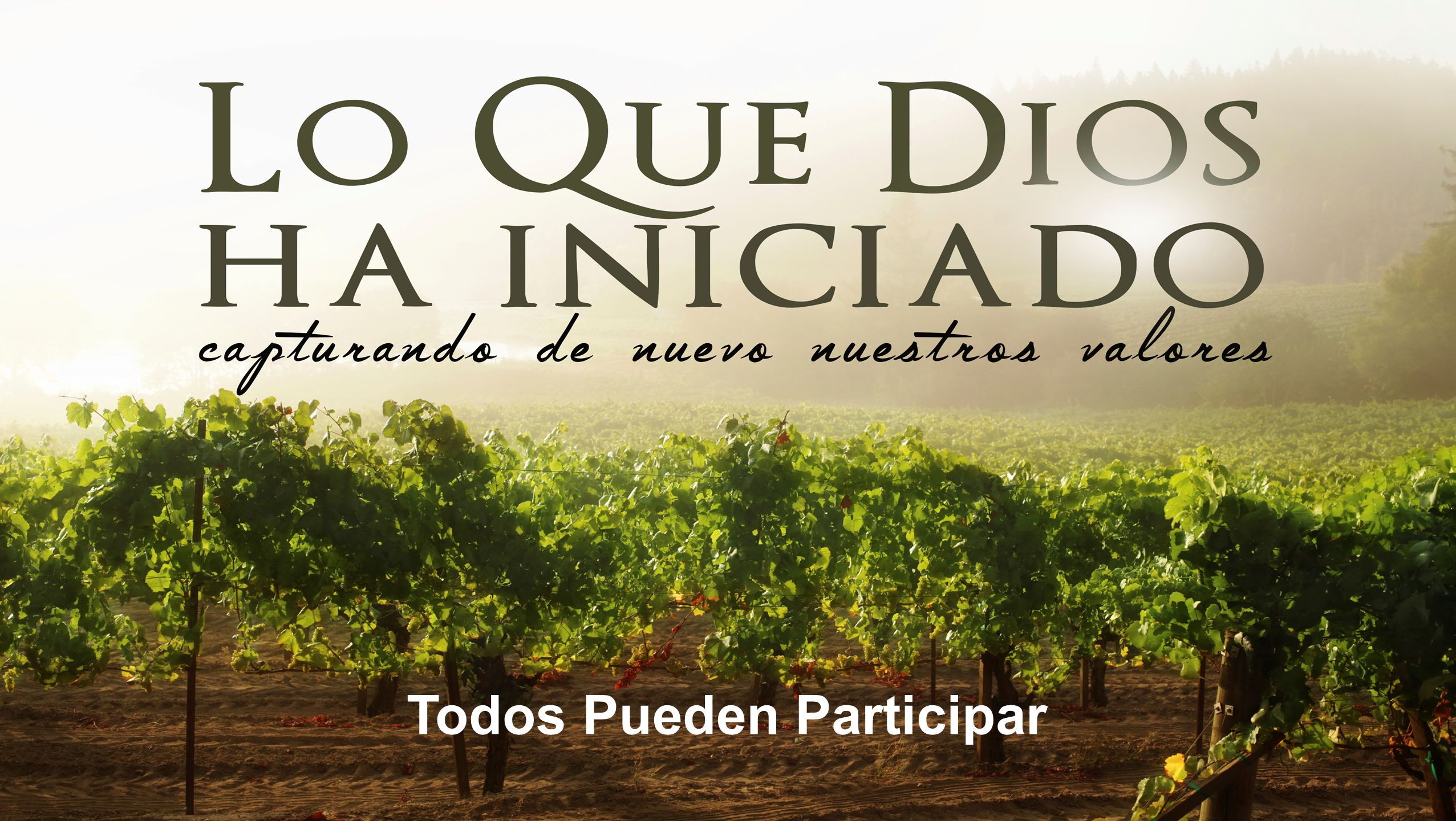 Todos Pueden Participar