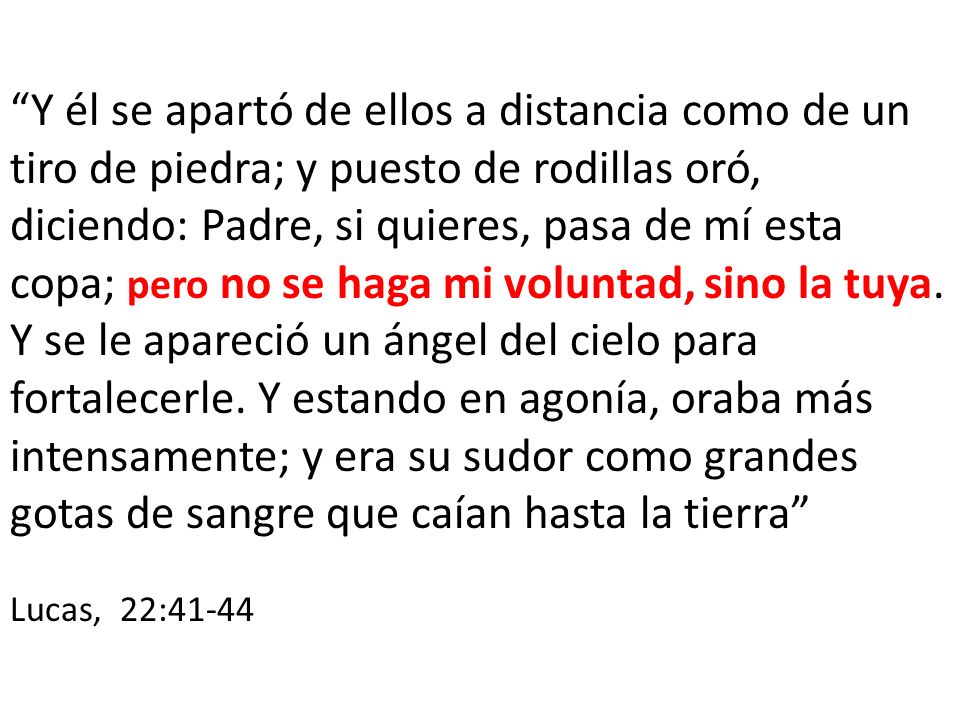 Y él se apartó de ellos a distancia como de un tiro de piedra; y puesto de rodillas oró, diciendo: Padre, si quieres, pasa de mí esta copa; pero no se haga mi voluntad, sino la tuya. Y se le apareció un ángel del cielo para fortalecerle. Y estando en agonía, oraba más intensamente; y era su sudor como grandes gotas de sangre que caían hasta la tierra