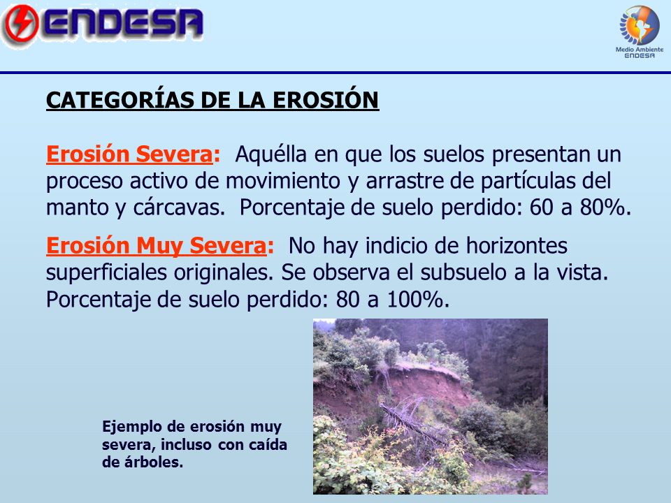 CATEGORÍAS DE LA EROSIÓN Erosión Severa: Aquélla en que los suelos presentan un proceso activo de movimiento y arrastre de partículas del manto y cárcavas. Porcentaje de suelo perdido: 60 a 80%. Erosión Muy Severa: No hay indicio de horizontes superficiales originales. Se observa el subsuelo a la vista. Porcentaje de suelo perdido: 80 a 100%.