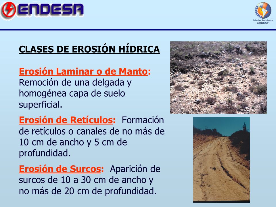 CLASES DE EROSIÓN HÍDRICA Erosión Laminar o de Manto: Remoción de una delgada y homogénea capa de suelo superficial.