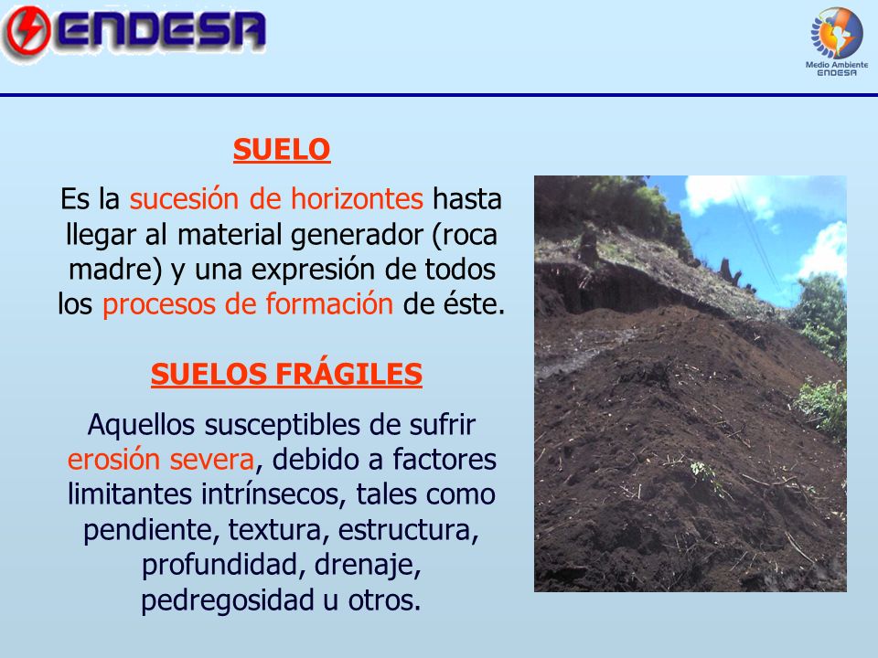 SUELO Es la sucesión de horizontes hasta llegar al material generador (roca madre) y una expresión de todos los procesos de formación de éste.