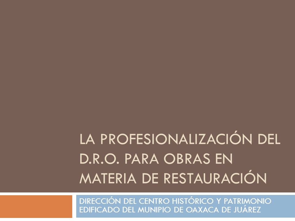 LA PROFESIONALIZACIÓN DEL D.R.O. PARA OBRAS EN MATERIA DE RESTAURACIÓN