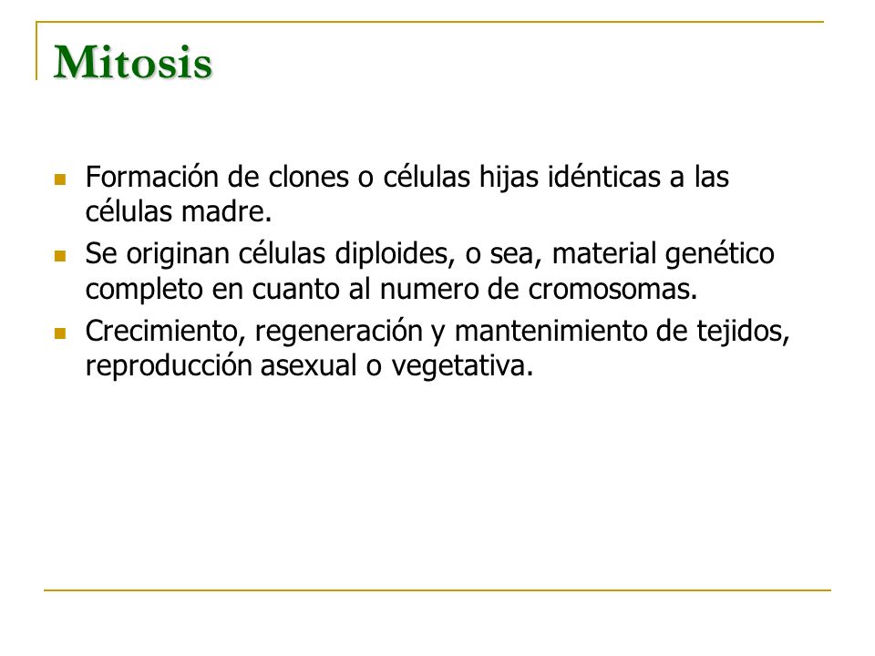 Mitosis Formación de clones o células hijas idénticas a las células madre.