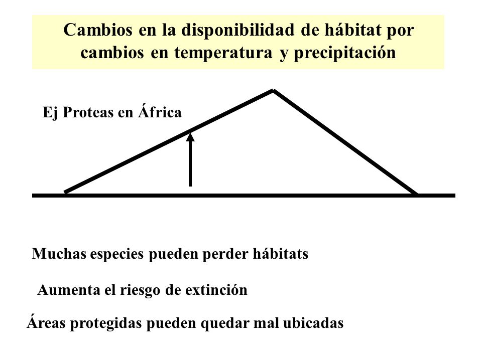 Cambios en la disponibilidad de hábitat por cambios en temperatura y precipitación