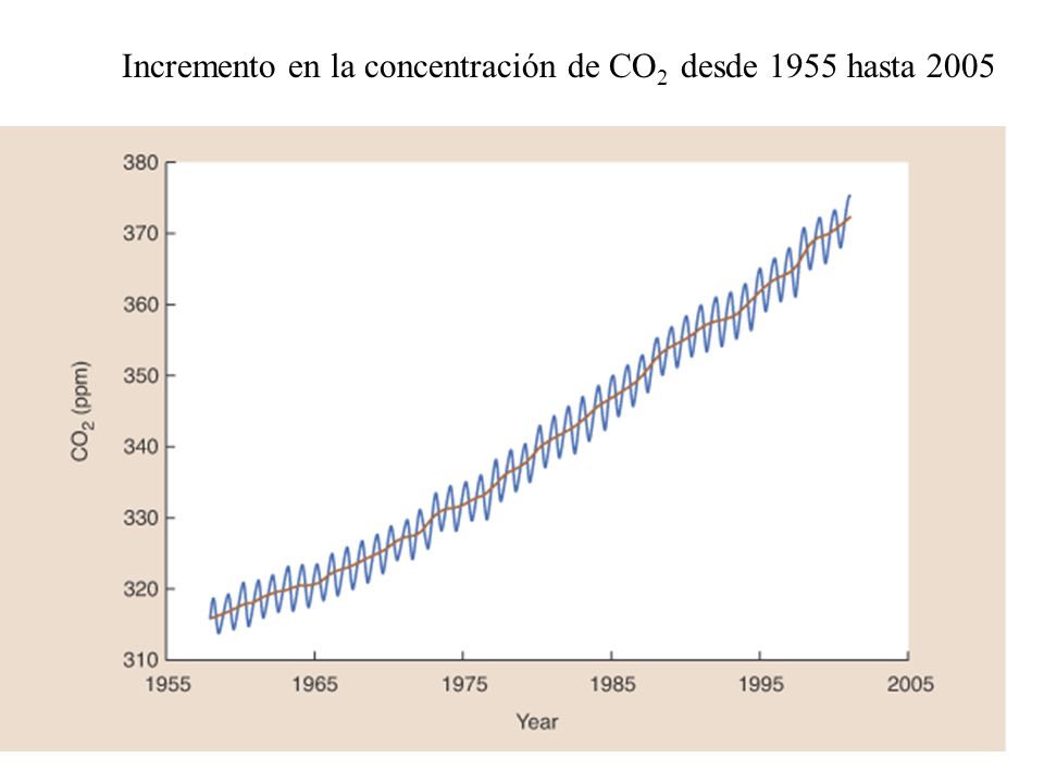 Incremento en la concentración de CO2 desde 1955 hasta 2005