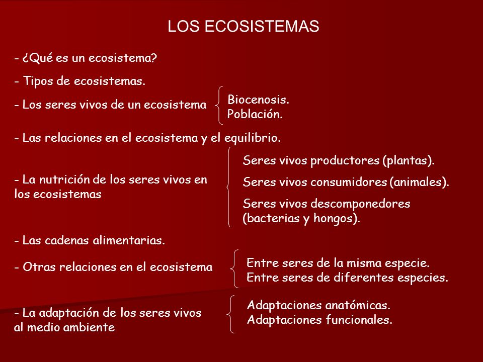 LOS ECOSISTEMAS - ¿Qué es un ecosistema - Tipos de ecosistemas.