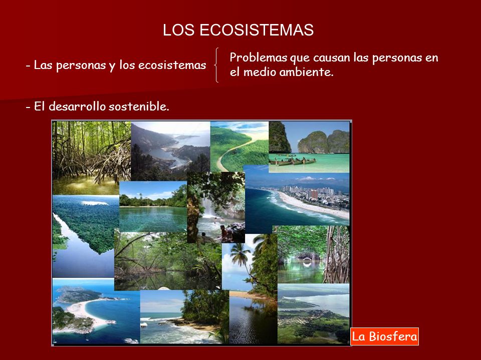 LOS ECOSISTEMAS Problemas que causan las personas en el medio ambiente. - Las personas y los ecosistemas.
