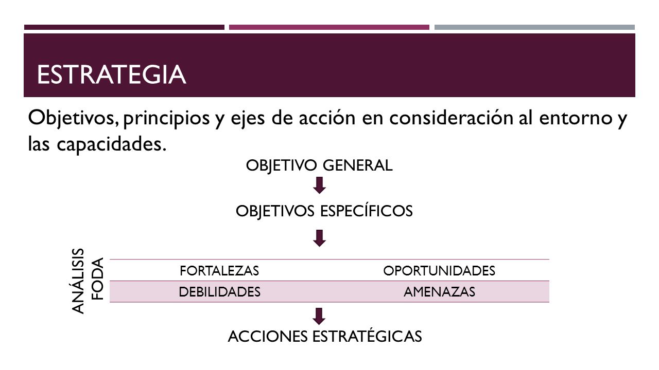 estrategia Objetivos, principios y ejes de acción en consideración al entorno y las capacidades. OBJETIVO GENERAL.
