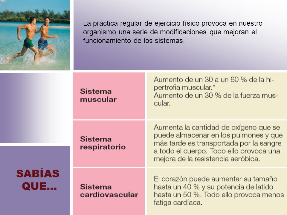 La práctica regular de ejercicio físico provoca en nuestro organismo una serie de modificaciones que mejoran el funcionamiento de los sistemas.