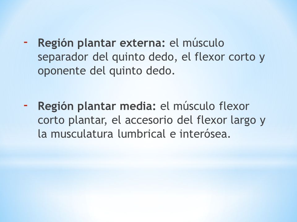 Región plantar externa: el músculo separador del quinto dedo, el flexor corto y oponente del quinto dedo.