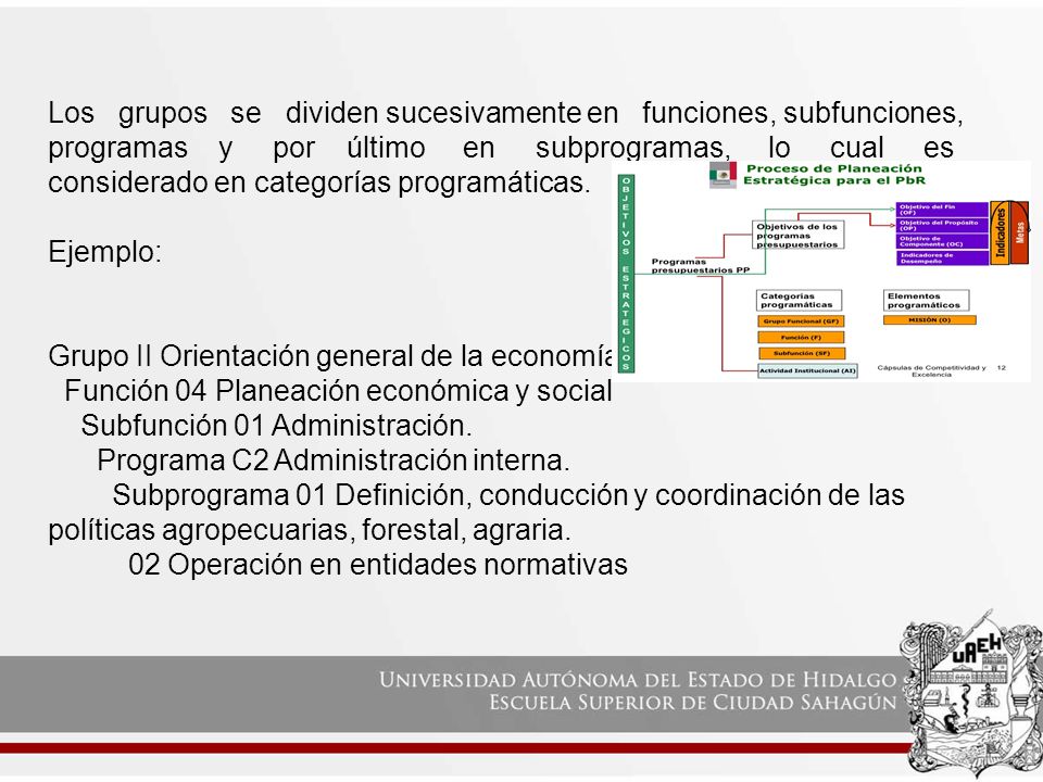 Los grupos se dividen sucesivamente en funciones, subfunciones, programas y por último en subprogramas, lo cual es considerado en categorías programáticas.