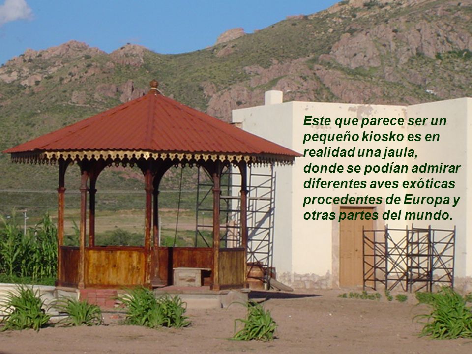 Este que parece ser un pequeño kiosko es en realidad una jaula, donde se podían admirar diferentes aves exóticas procedentes de Europa y otras partes del mundo.