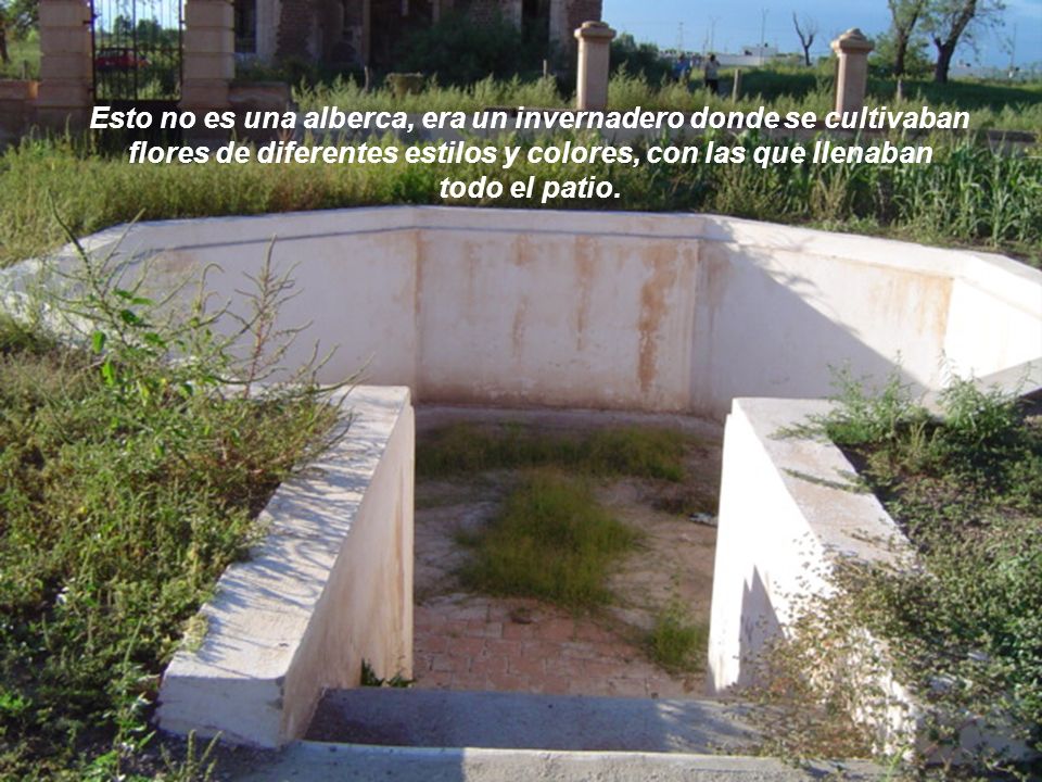 Esto no es una alberca, era un invernadero donde se cultivaban flores de diferentes estilos y colores, con las que llenaban todo el patio.