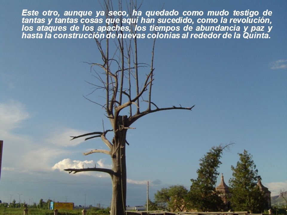 Este otro, aunque ya seco, ha quedado como mudo testigo de tantas y tantas cosas que aquí han sucedido, como la revolución, los ataques de los apaches, los tiempos de abundancia y paz y hasta la construcción de nuevas colonias al rededor de la Quinta.