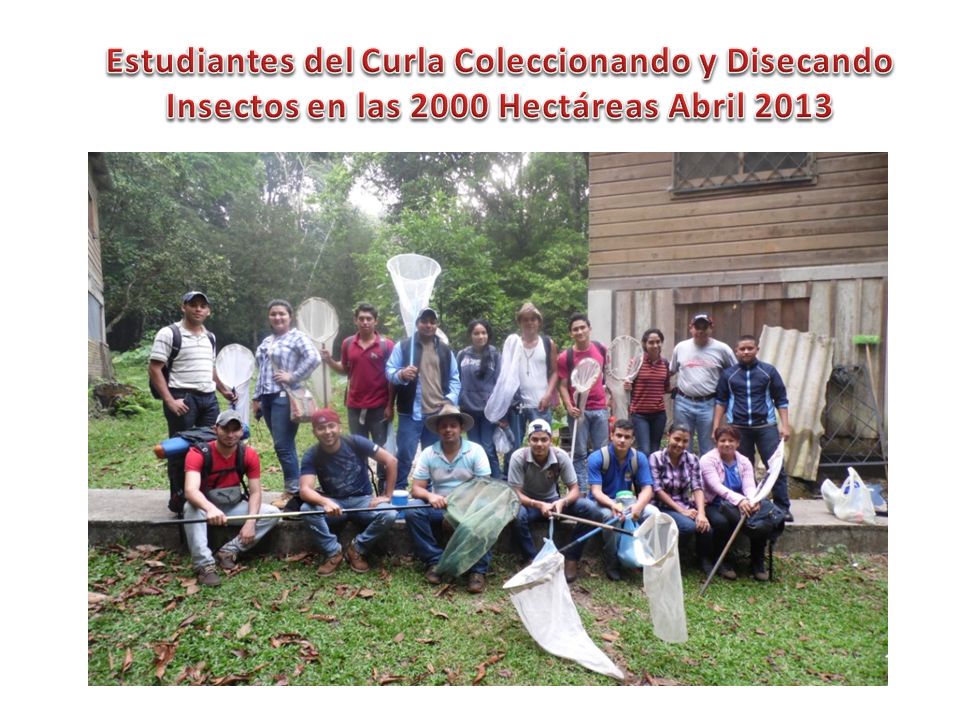 Estudiantes del Curla Coleccionando y Disecando Insectos en las 2000 Hectáreas Abril 2013