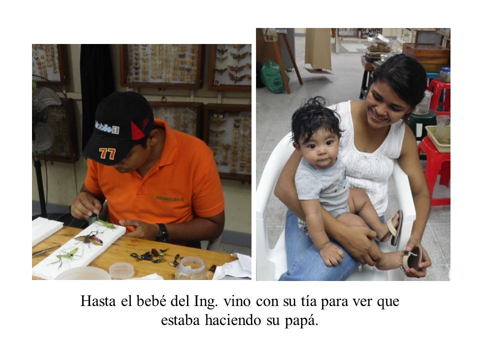 Hasta el bebé del Ing. vino con su tía para ver que estaba haciendo su papá.