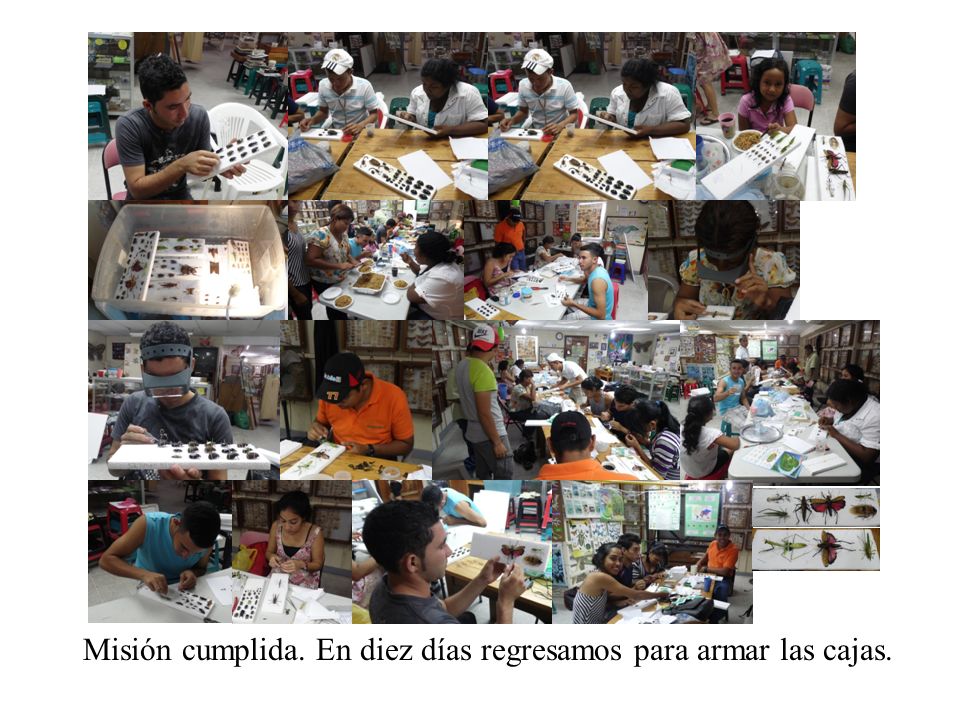 Misión cumplida. En diez días regresamos para armar las cajas.