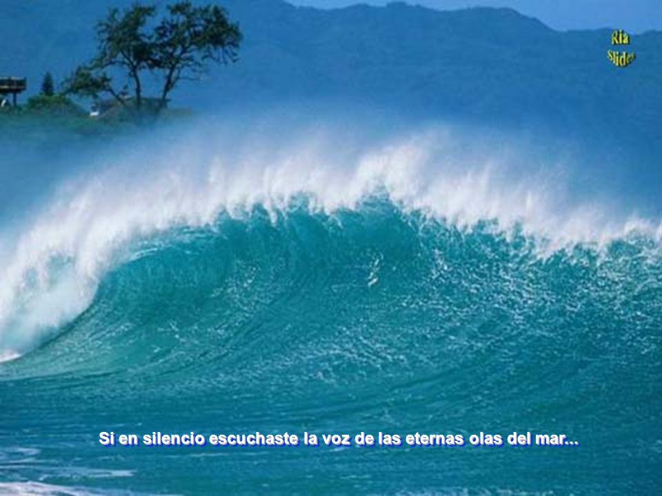 Si en silencio escuchaste la voz de las eternas olas del mar...