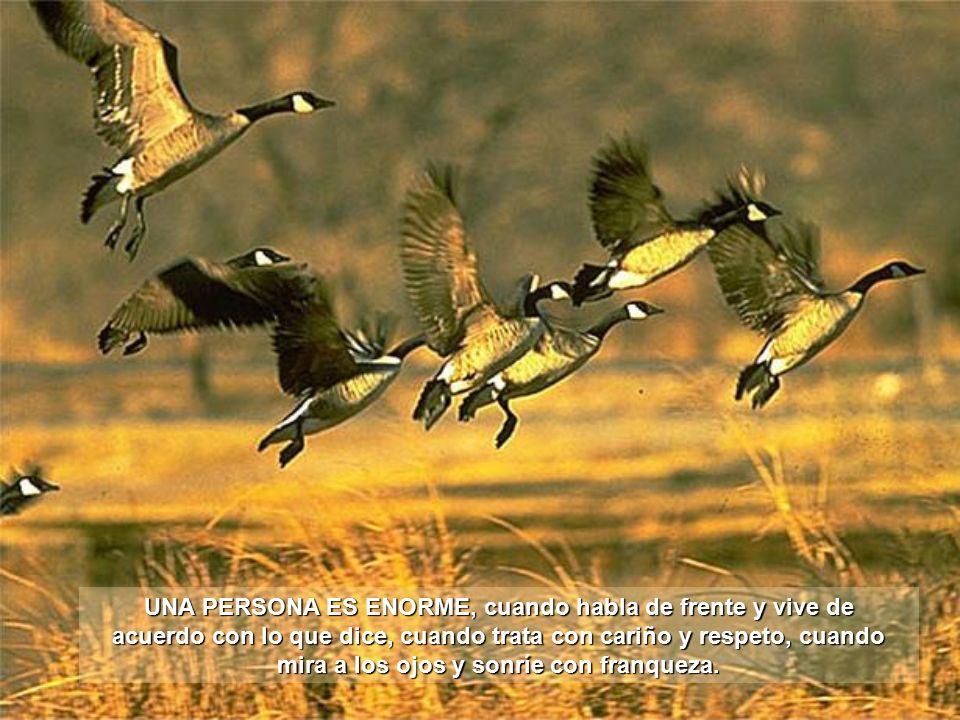 UNA PERSONA ES ENORME, cuando habla de frente y vive de acuerdo con lo que dice, cuando trata con cariño y respeto, cuando mira a los ojos y sonríe con franqueza.