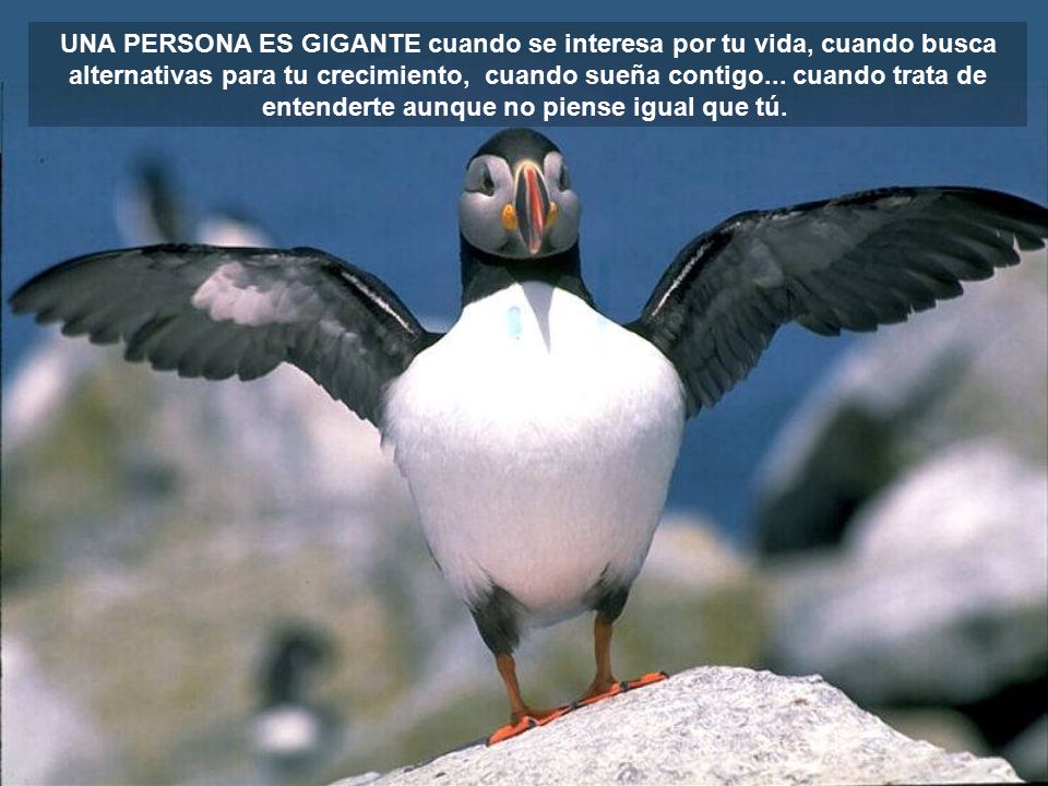 UNA PERSONA ES GIGANTE cuando se interesa por tu vida, cuando busca alternativas para tu crecimiento, cuando sueña contigo...