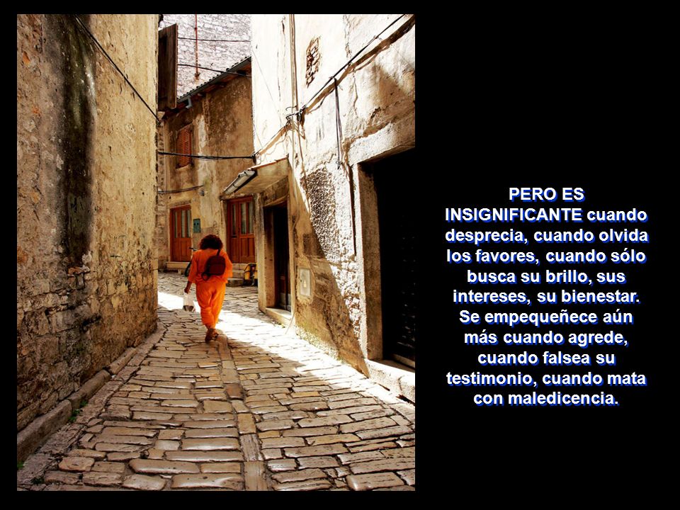 PERO ES INSIGNIFICANTE cuando desprecia, cuando olvida los favores, cuando sólo busca su brillo, sus intereses, su bienestar.