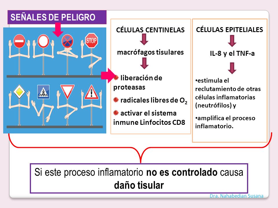 Si este proceso inflamatorio no es controlado causa daño tisular
