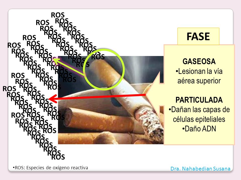 FASE ROS ROS ROS ROS GASEOSA Lesionan la vía aérea superior ROS