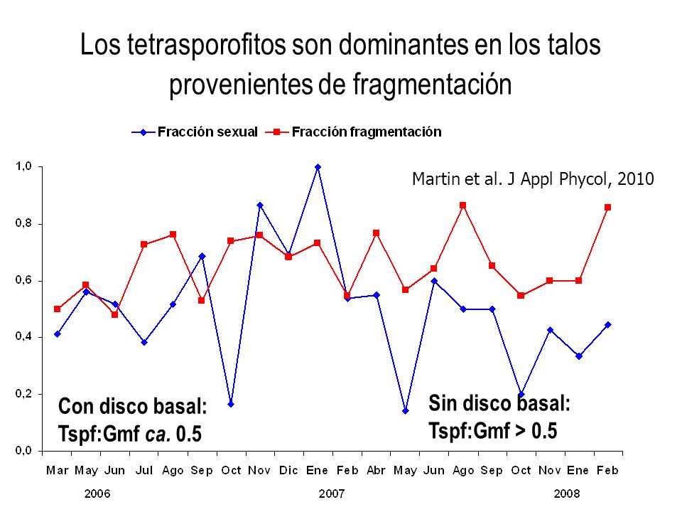 Los tetrasporofitos son dominantes en los talos provenientes de fragmentación