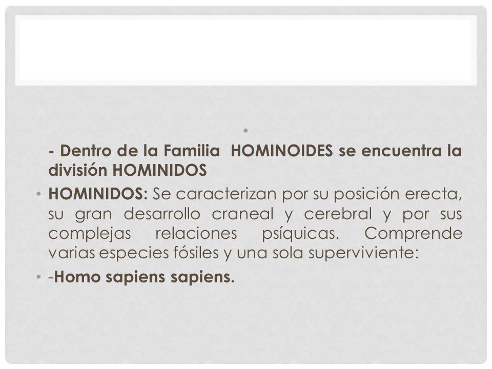 - Dentro de la Familia HOMINOIDES se encuentra la división HOMINIDOS
