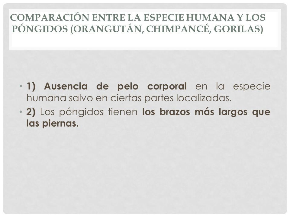 COMPARACIÓN ENTRE LA ESPECIE HUMANA Y LOS PÓNGIDOS (Orangután, Chimpancé, Gorilas)