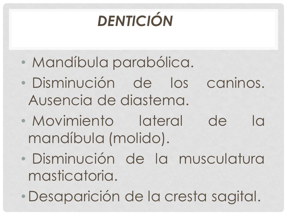 DENTICIÓN Mandíbula parabólica. Disminución de los caninos. Ausencia de diastema. Movimiento lateral de la mandíbula (molido).