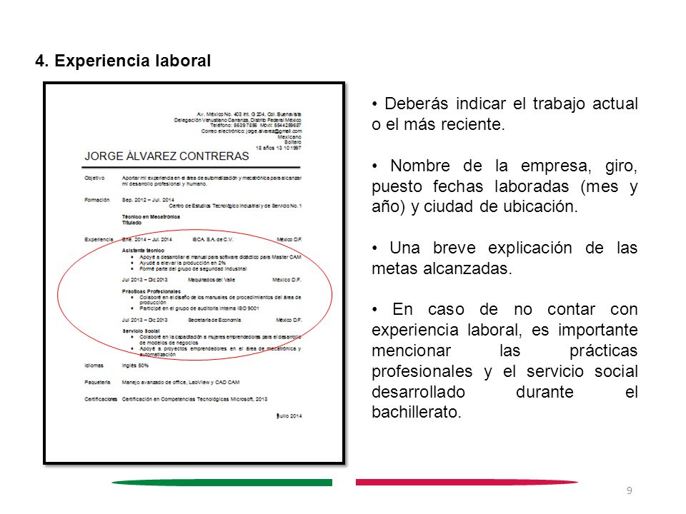 4. Experiencia laboral • Deberás indicar el trabajo actual o el más reciente.