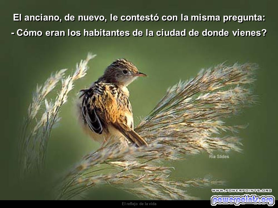 El anciano, de nuevo, le contestó con la misma pregunta: