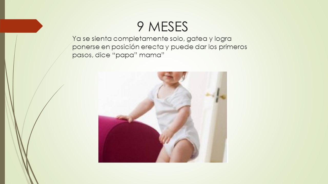 9 MESES Ya se sienta completamente solo, gatea y logra ponerse en posición erecta y puede dar los primeros pasos, dice papa mama