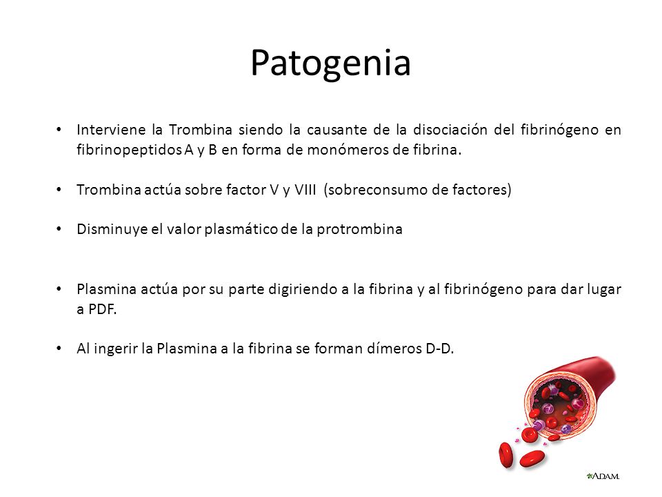 Patogenia Interviene la Trombina siendo la causante de la disociación del fibrinógeno en fibrinopeptidos A y B en forma de monómeros de fibrina.