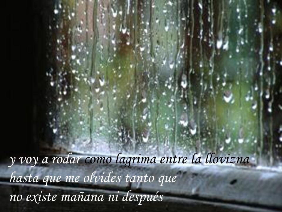 y voy a rodar como lagrima entre la llovizna hasta que me olvides tanto que no existe mañana ni después