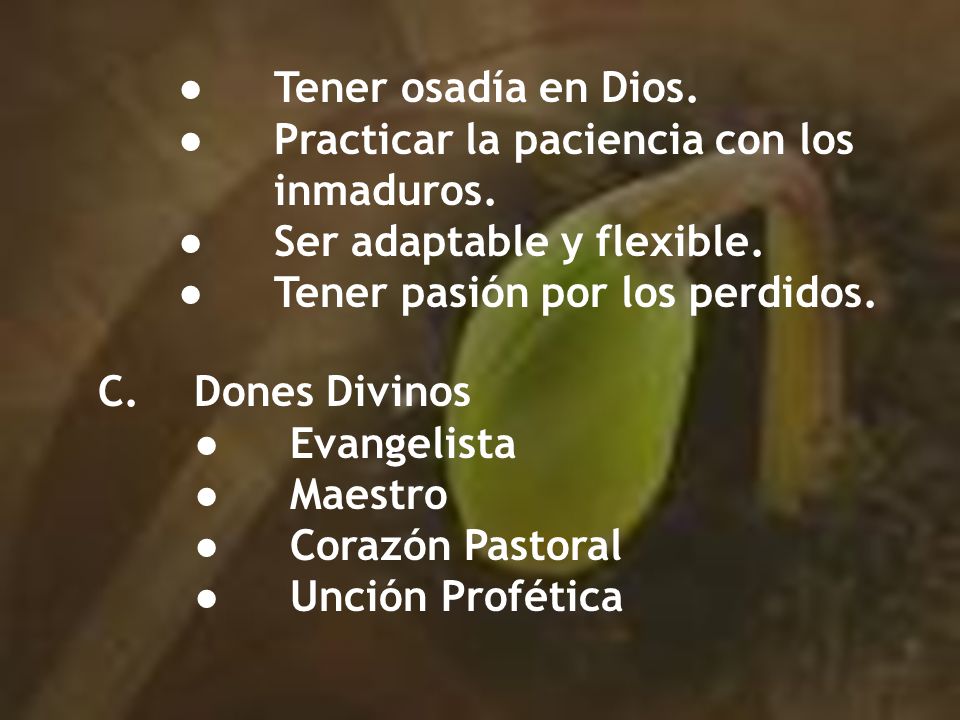 ● Tener osadía en Dios. ● Practicar la paciencia con los inmaduros. ● Ser adaptable y flexible. ● Tener pasión por los perdidos.