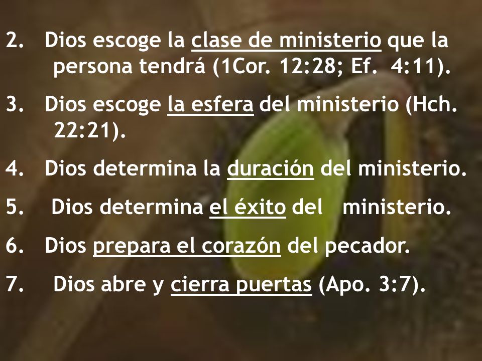 Dios escoge la clase de ministerio que la. persona tendrá (1Cor