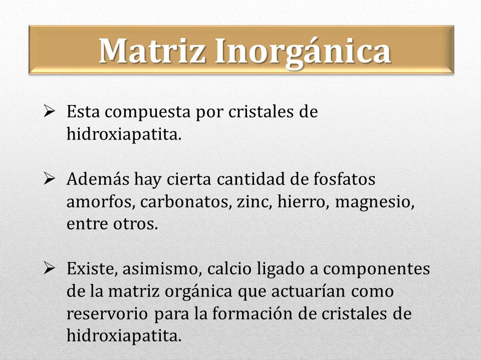 Matriz Inorgánica Esta compuesta por cristales de hidroxiapatita.