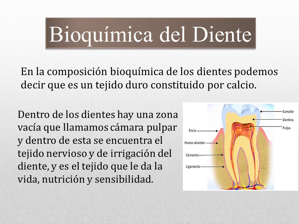 Bioquímica del Diente En la composición bioquímica de los dientes podemos decir que es un tejido duro constituido por calcio.