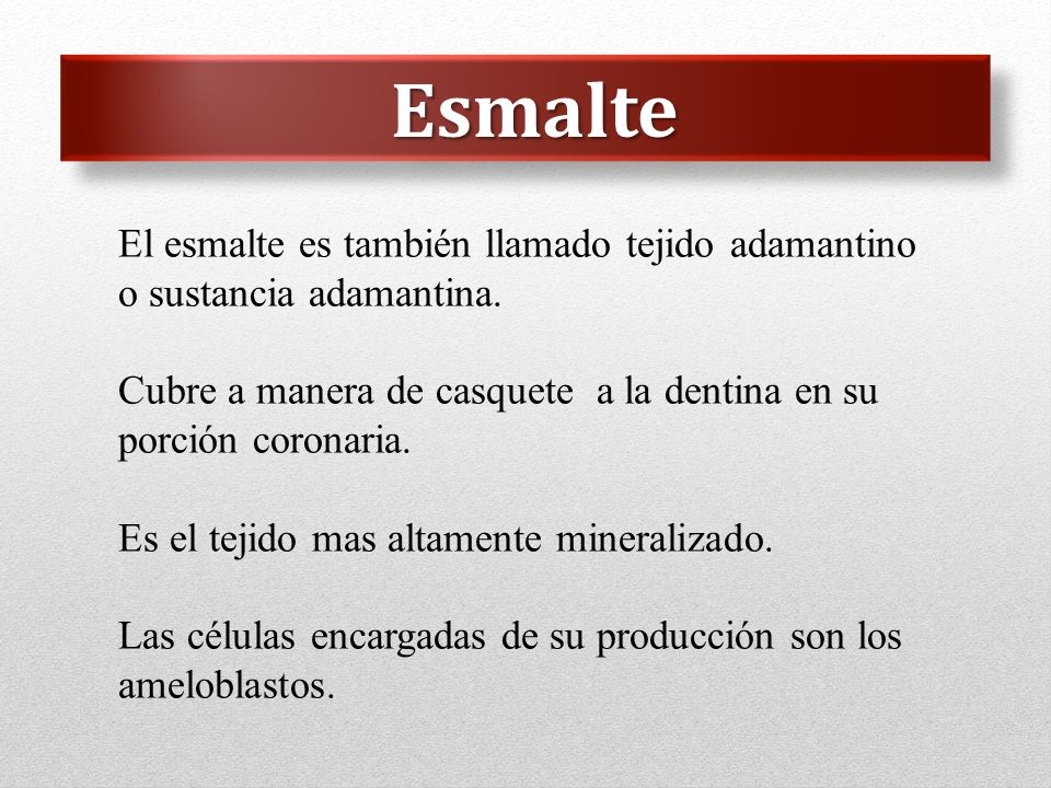 Esmalte El esmalte es también llamado tejido adamantino o sustancia adamantina. Cubre a manera de casquete a la dentina en su porción coronaria.
