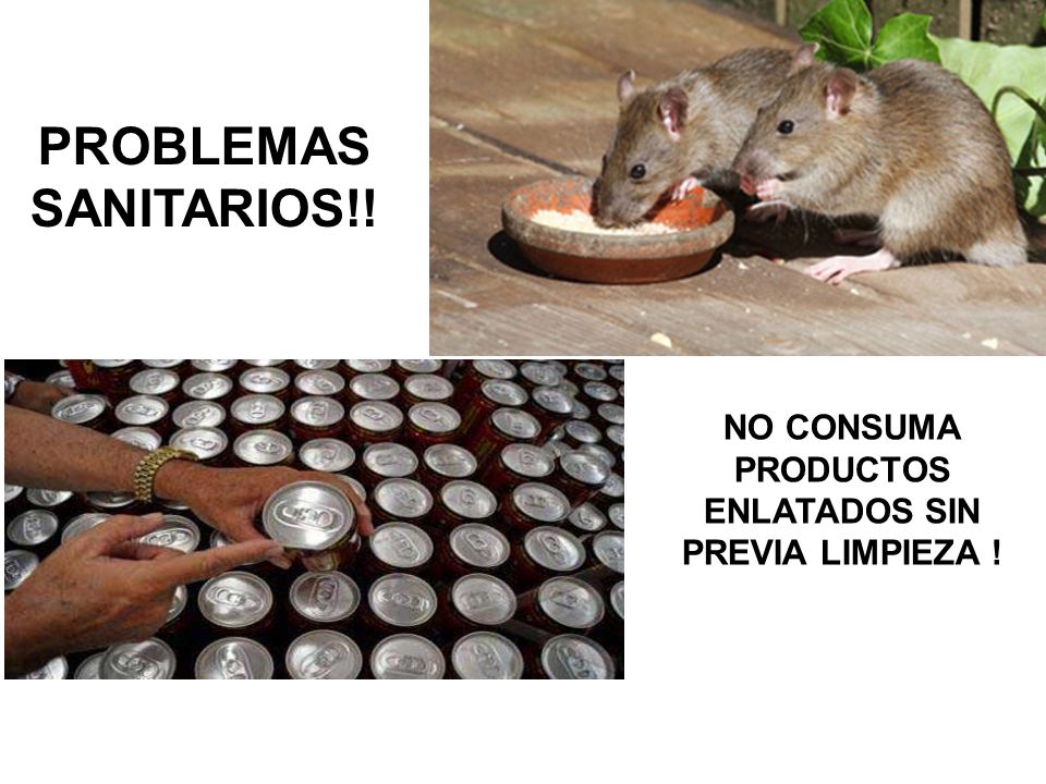 NO CONSUMA PRODUCTOS ENLATADOS SIN PREVIA LIMPIEZA !