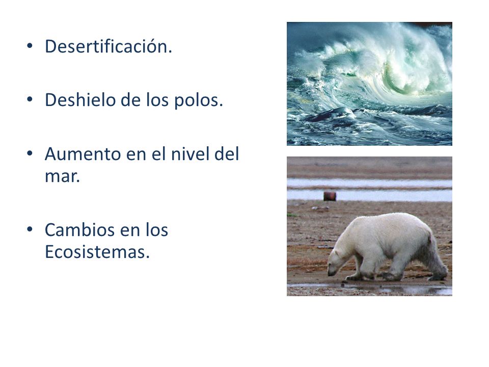 Desertificación. Deshielo de los polos. Aumento en el nivel del mar. Cambios en los Ecosistemas.