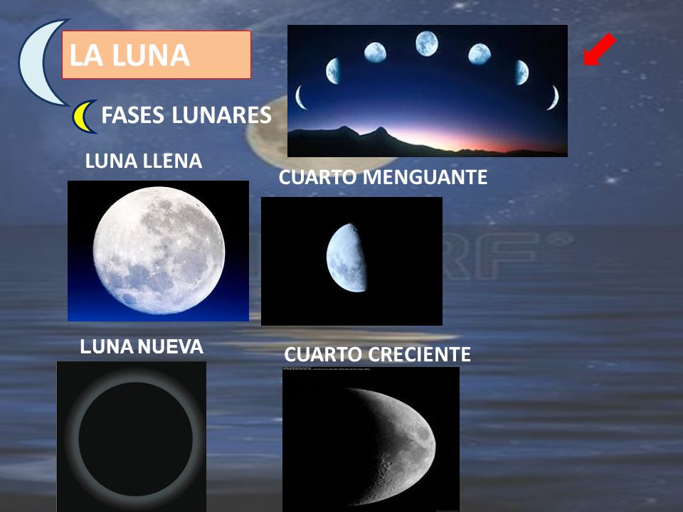 LA LUNA FASES LUNARES LUNA LLENA CUARTO MENGUANTE CUARTO CRECIENTE