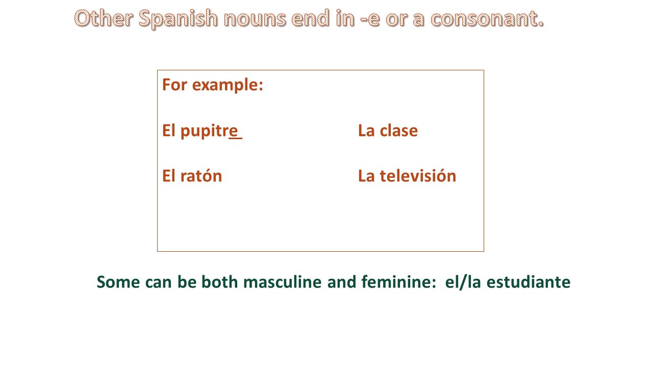 Other Spanish nouns end in -e or a consonant.