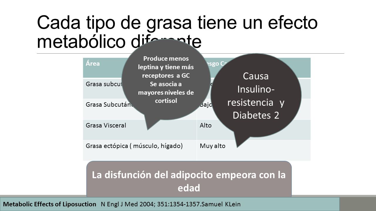 Cada tipo de grasa tiene un efecto metabólico diferente