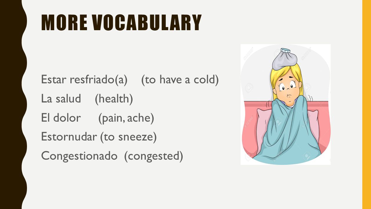 More vocabulary Estar resfriado(a) (to have a cold) La salud (health) El dolor (pain, ache) Estornudar (to sneeze) Congestionado (congested)