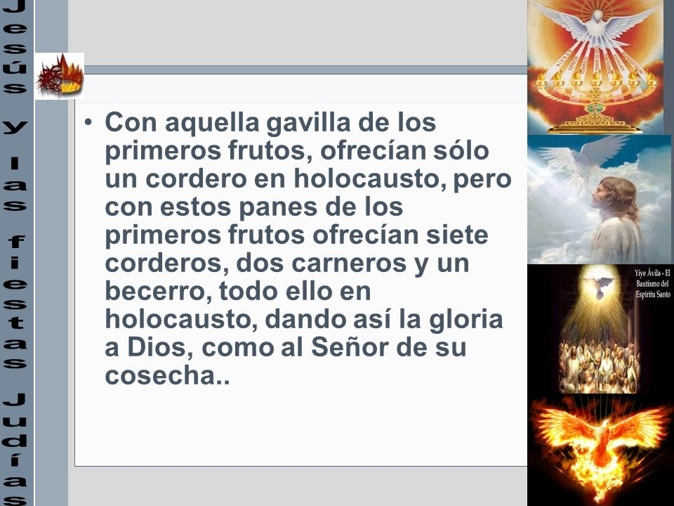 Con aquella gavilla de los primeros frutos, ofrecían sólo un cordero en holocausto, pero con estos panes de los primeros frutos ofrecían siete corderos, dos carneros y un becerro, todo ello en holocausto, dando así la gloria a Dios, como al Señor de su cosecha..