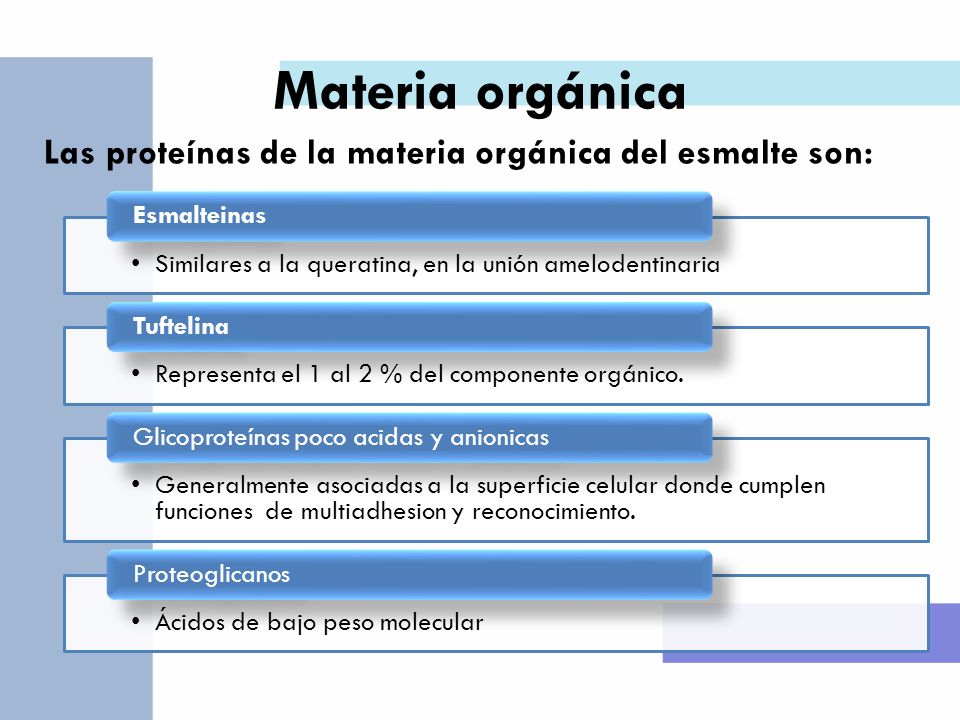 Materia orgánica Las proteínas de la materia orgánica del esmalte son:
