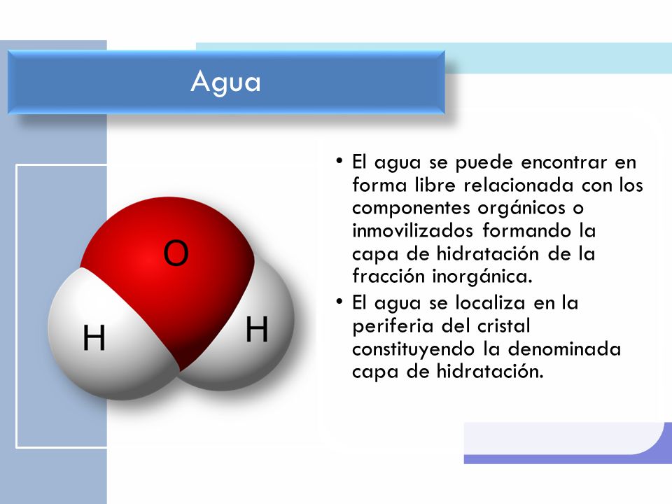 El agua se puede encontrar en forma libre relacionada con los componentes orgánicos o inmovilizados formando la capa de hidratación de la fracción inorgánica.